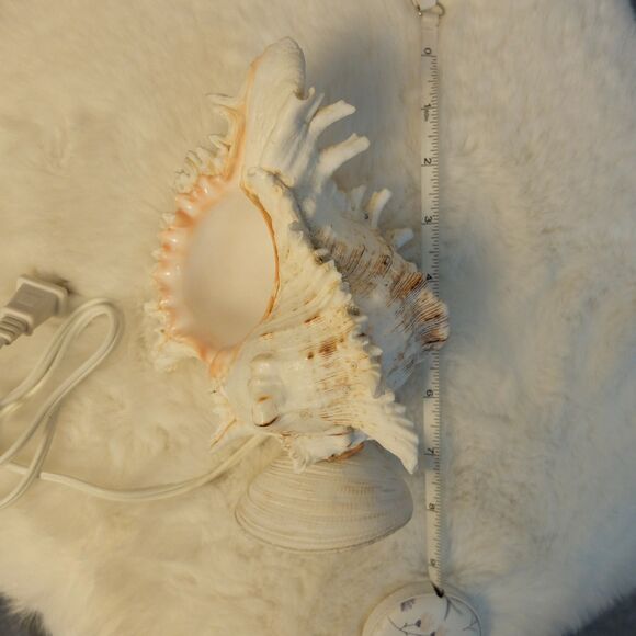 Seashell Lamp Night Light NWOT - Picture 9 of 10